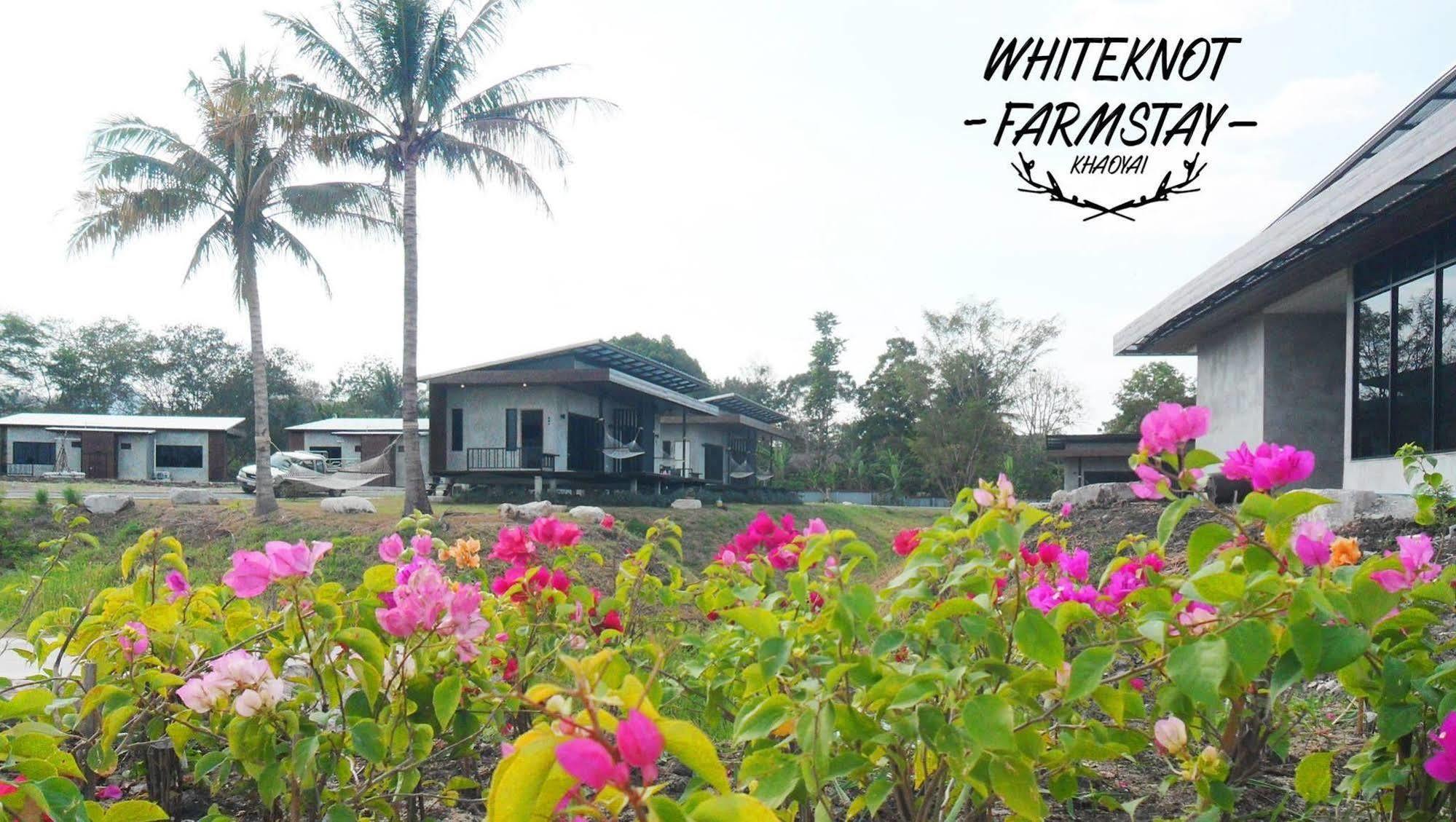 The White Knot Farm Stay Pak Chong Exterior foto